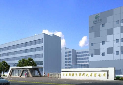 宁波球探体育